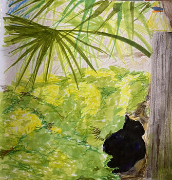 Island Cat