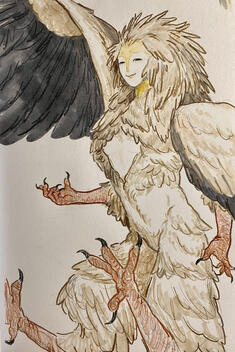 Vulture harpy