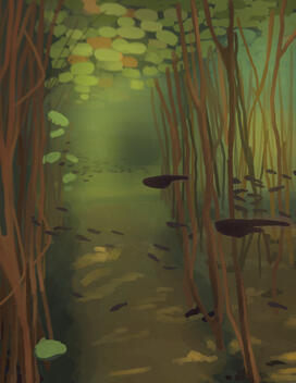 Photo study